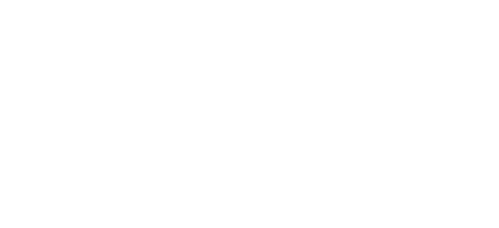 LFG Freight Solutions